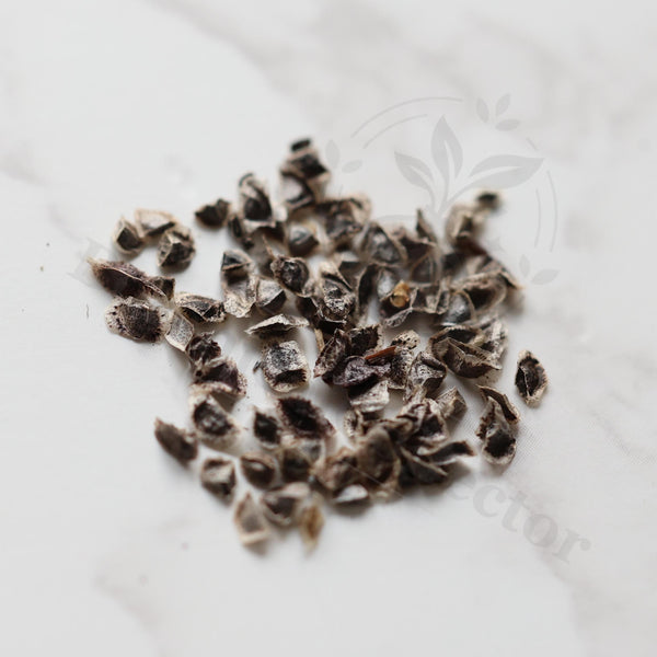 Aloe Hybrids Seeds — Aloe — 2026 seed listing — 1 seed — image 1: loose seeds displayed on a light background