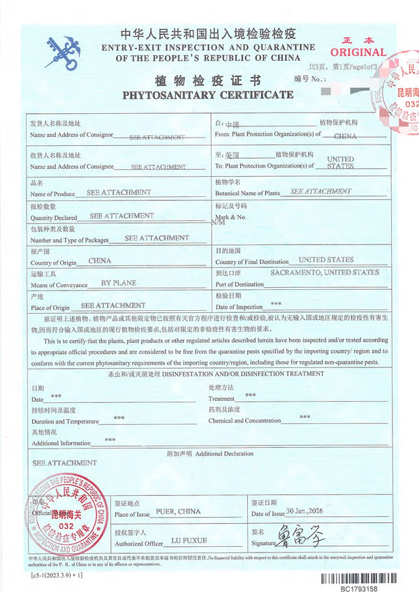 Certificates — image 2: scanned phytosanitary certificate document