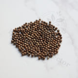 Euphorbia kalisana Seeds — Euphorbia — 2026 seed listing — 1 Seed — image 1: loose seeds displayed on a light background