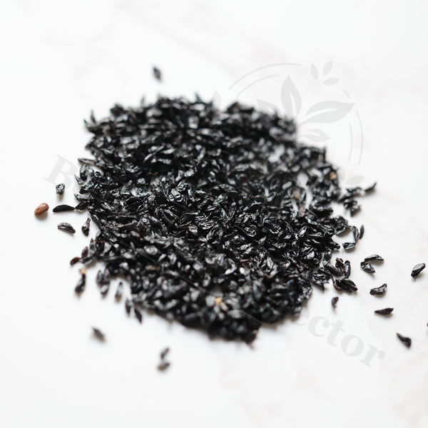Drimia intricata Seeds — Drimia — 2026 seed listing — 1 Seed — image 1: loose seeds displayed on a light background