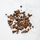 Boswellia nana Seeds — Boswellia — 2026 seed listing — 1 Seed — image 1: loose seeds displayed on a light background