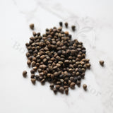 Euphorbia brevirama Seeds — Euphorbia — 2026 seed listing — 1 Seed — image 1: loose seeds displayed on a light background