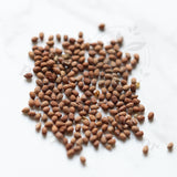 Euphorbia cylindrifolia Seeds — Euphorbia — 2026 seed listing — 1 Seed — image 1: loose seeds displayed on a light background
