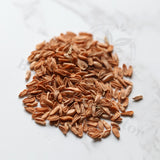 Pachypodium densiflorum Seeds — Pachypodium — 2026 seed listing — 1 Seed — image 1: loose seeds displayed on a light background