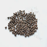Euphorbia labatii Seeds — Euphorbia — 2026 seed listing — 1 Seed — image 1: loose seeds displayed on a light background