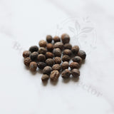 Euphorbia cremersii Seeds — Euphorbia — 2026 seed listing — 1 Seed — image 1: loose seeds displayed on a light background