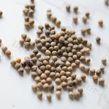 Euphorbia monteiroi ssp monteiroi Seeds — Euphorbia — 2026 seed listing — 1 Seed — image 1: loose seeds displayed on a light background