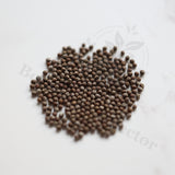 Euphorbia sp. nov. ‘Montepuez’ Seeds — Euphorbia — 2026 seed listing — 1 Seed — image 1: loose seeds displayed on a light background
