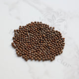 Euphorbia sp. Mutomo Seeds — Euphorbia — 2026 seed listing — 1 Seed — image 1: loose seeds displayed on a light background