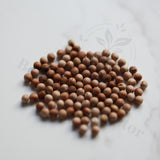 Euphorbia enormis Seeds — Euphorbia — 2026 seed listing — 1 Seed — image 1: loose seeds displayed on a light background