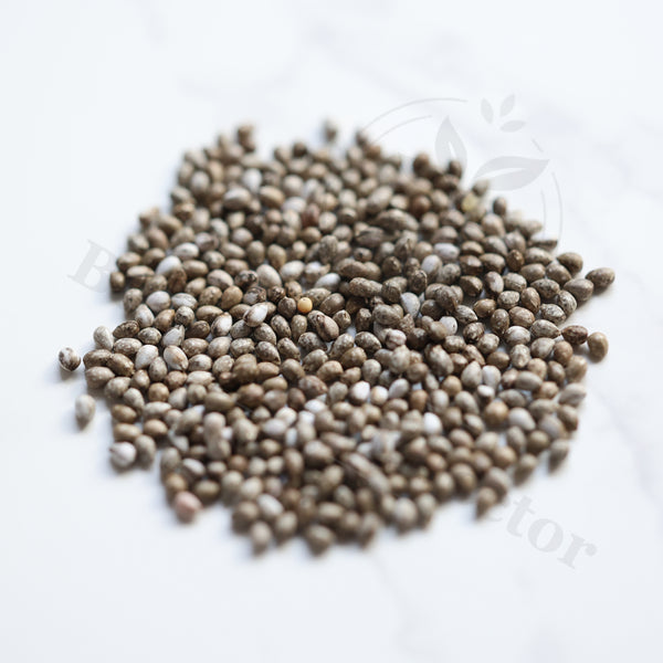 Euphorbia anoplia Seeds — Euphorbia — 2026 seed listing — 1 Seed — image 1: loose seeds displayed on a light background