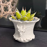 "Wind's Breath" 3D Printed Dragon Planter - Dark Gothic Pot for Agave, Succulents & Caudex Plants (Eco-Friendly PLA) - BotanicalCollector