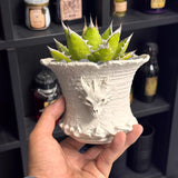 "Wind's Breath" 3D Printed Dragon Planter - Dark Gothic Pot for Agave, Succulents & Caudex Plants (Eco-Friendly PLA) - BotanicalCollector